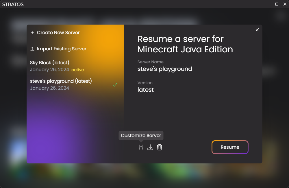 Screenshot of the server modal. A server is selected and the mouse is
hovering over the customize
button.