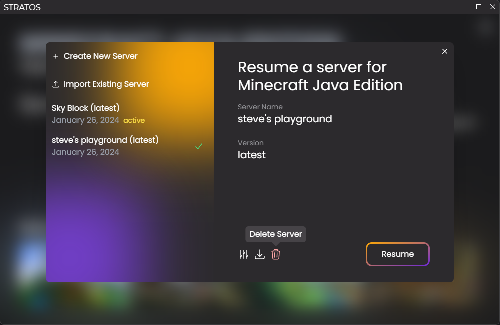 Screenshot of the server modal. The user is hovering over the "Delete
Server" button.