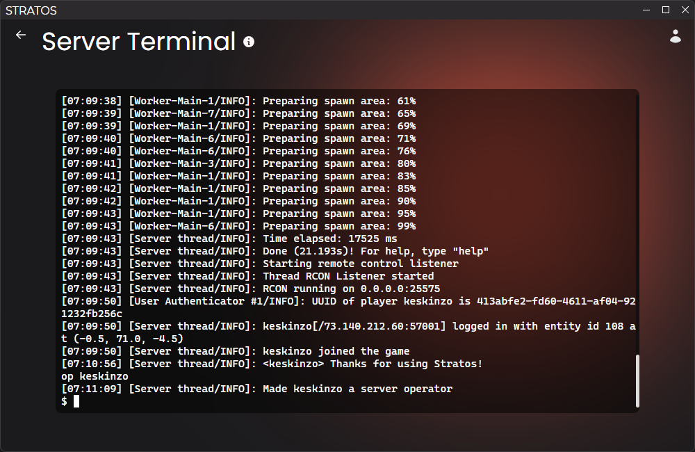 Screenshot of the terminal screen. There is a terminal in the center
displaying information about the user's
server.